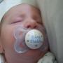 Robert Marshall Photo 41