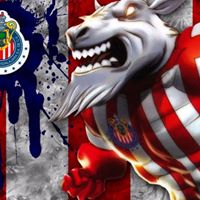 Andres Varela Photo 16