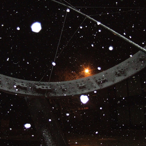 Andrew Field Photo 6