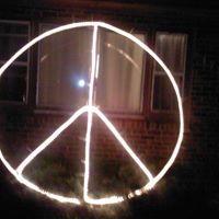 Cathy Knapp Photo 20