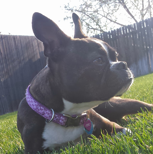 Rachel Dunbar Photo 5