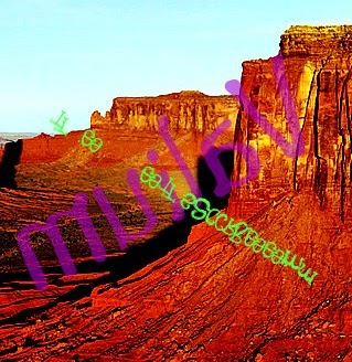 Nancy Hutton Photo 16