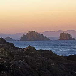 Alex Tinker Photo 20