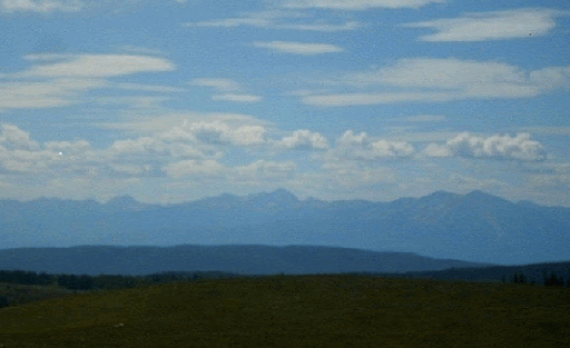 Vicki Morgan Photo 24