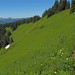 Cynthia Scales Photo 6