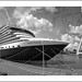 Hal Holland Photo 16