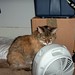 Dottie Hall Photo 21