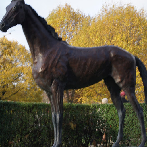 Robert Roche Photo 39