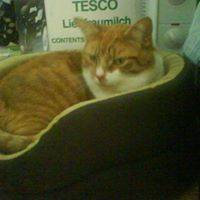 Mandy Lawrence Photo 38 Mandy Lawrence Photo 38