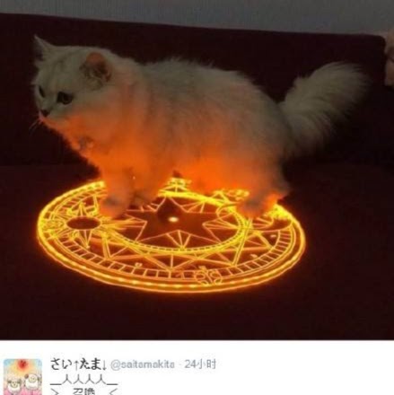 Iain Wilson Photo 38