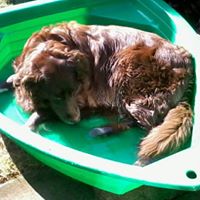 Pauline Kempe Photo 1