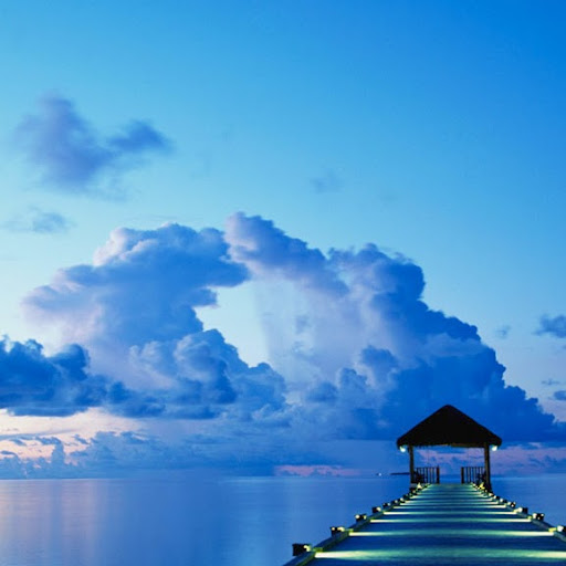 Lisa Steele Photo 17