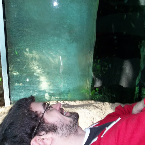 Andrew Sutton Photo 48