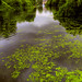 James Parks Photo 35