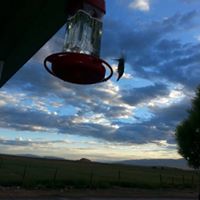 Laurie Heath Photo 30