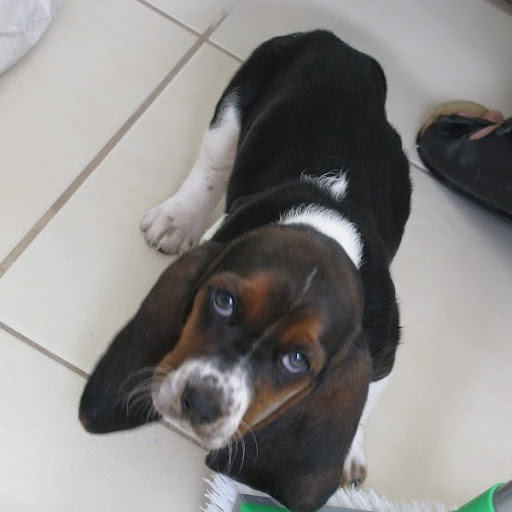 Jonathon Simon Photo 24