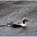 Sandy Long Photo 32