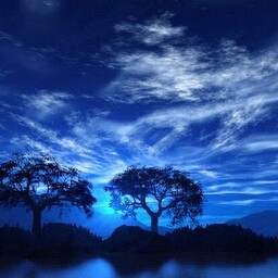 Angie Baxter Photo 7