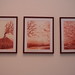Pang Vang Photo 24