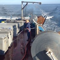 Joey Robertson Photo 36