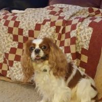 Richard Mcclellan Photo 6