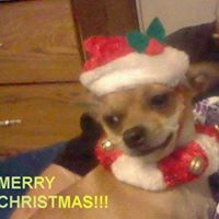 Katheryn Nowlin Photo 1