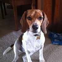 Maggie Robbins Photo 24