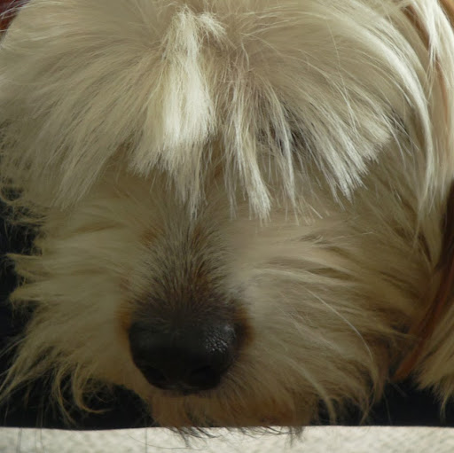 Bryan Dewitt Photo 25 Bryan Dewitt Photo 25