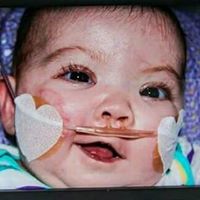 Cindy Calvert Photo 20