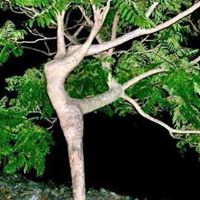 Linda Randall Photo 22