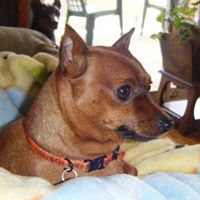 Betty Stone Photo 22