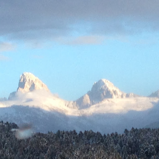 Stephen Wade Photo 45