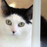 Christine Winslow Photo 24