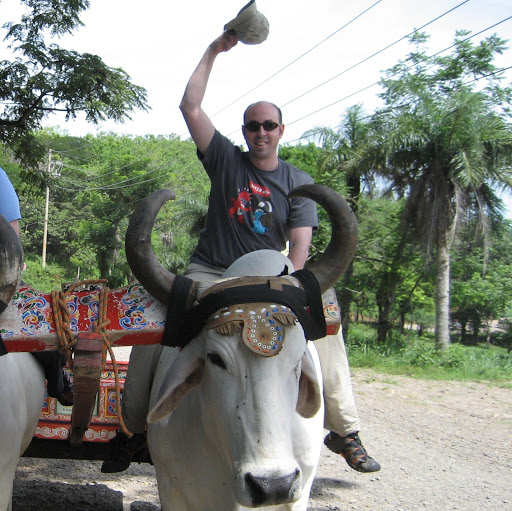 Matt Brown Photo 17 Matt Brown Photo 17