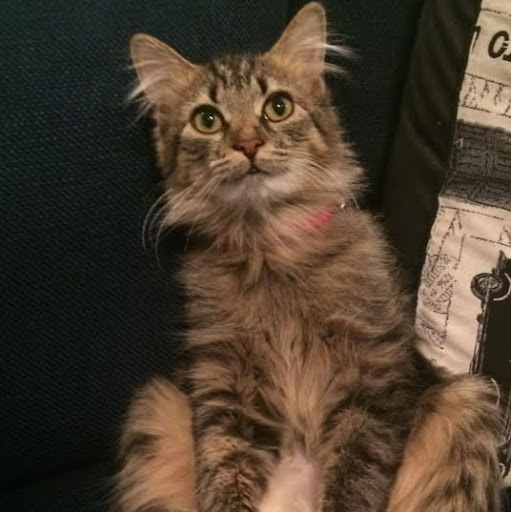 Christine Lindsay Photo 9