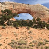 Connie Frazier Photo 18