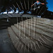 Steven Franklin Photo 40