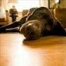 Leona Walters Photo 9