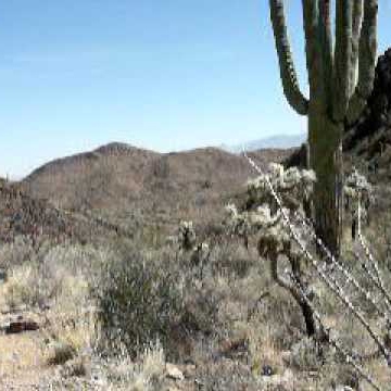 Carlton Werner Photo 2