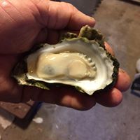 Robin Hauser Photo 6