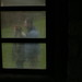 Susan Wiley Photo 6