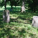 James Latham Photo 13