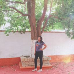 Andy Fuentes Photo 24