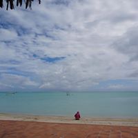 Yun Cheng Photo 14