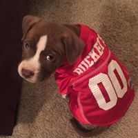 Cheryl Khamis Photo 3