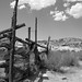 Carl Wolfe Photo 17