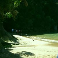 Terrance Rodgers Photo 7