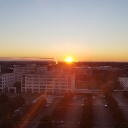 Steven Addison Photo 9