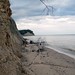 Leonard Calvert Photo 10
