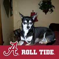 Darlene Grimes Photo 20